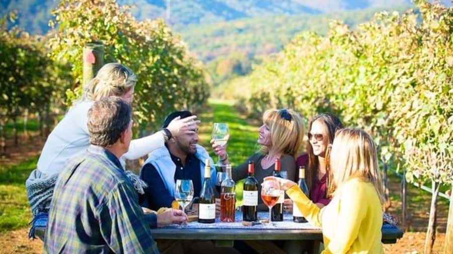 Santiago: Maipo Valley Wine Tasting Tour with 4 Vineyards - A full day from Santiago into Maipo Valley