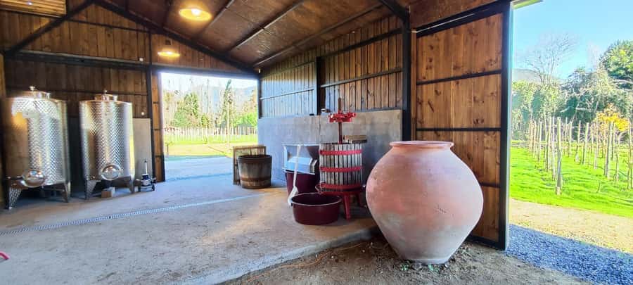 Santiago: Maipo Valley Wine Tasting Tour with 4 Vineyards - Undurraga: tradition, gardens, and a larger operation