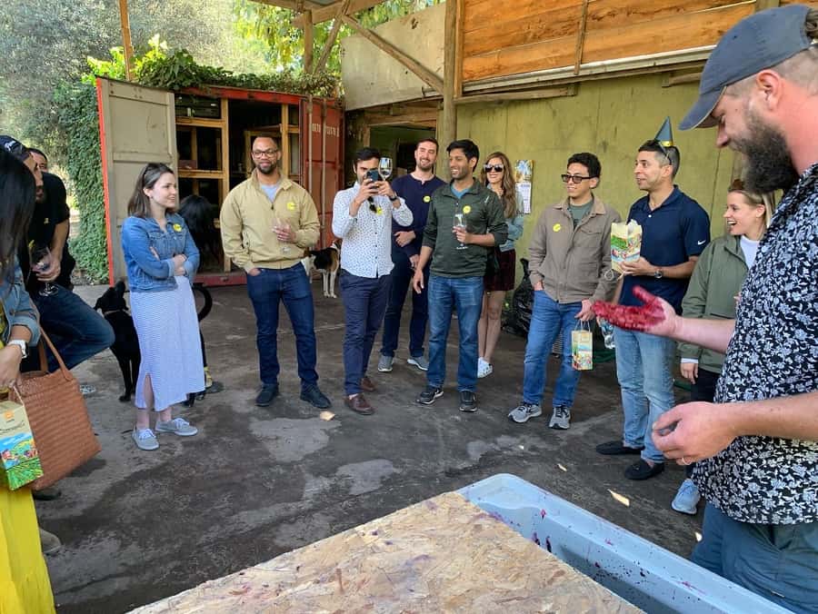 Santiago: Maipo Valley Wine Tasting Tour with 4 Vineyards - Transport, timing, and comfort