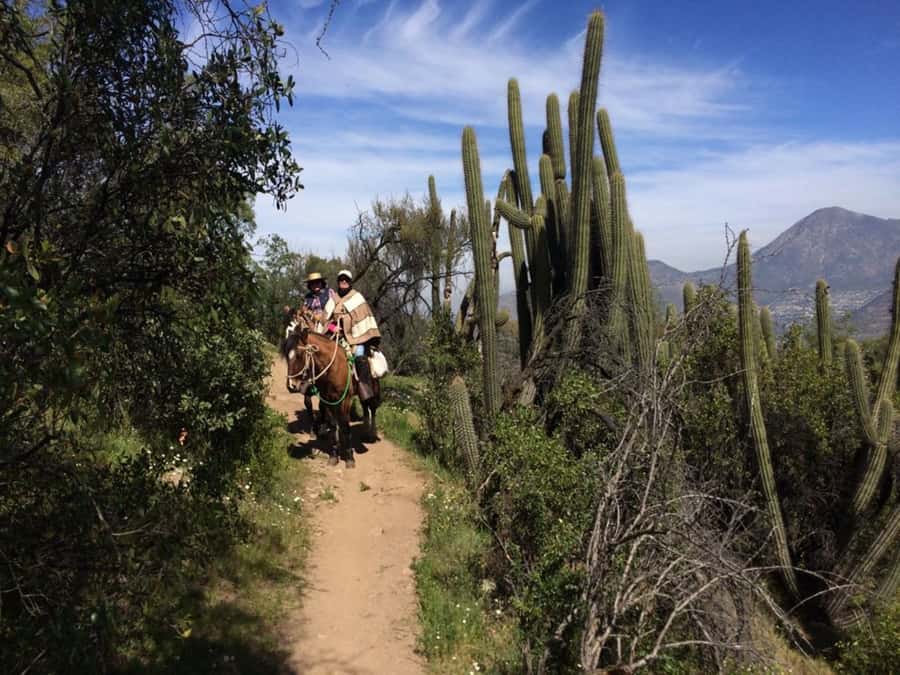 Santiago: Private Andes Foothills Horseback Riding. Half day - From Santiago streets to Andean horse country