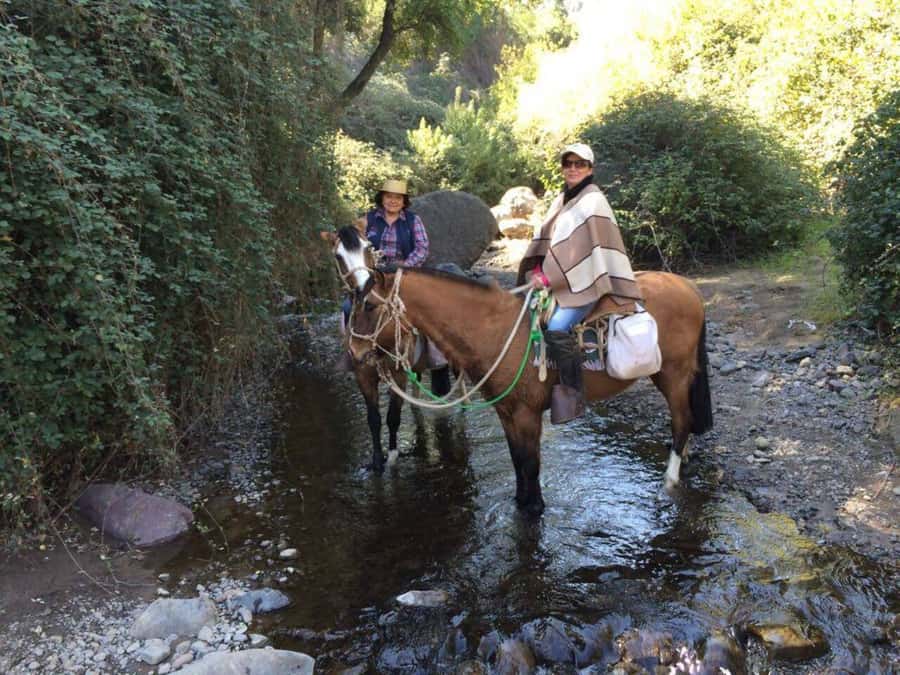 Santiago: Private Andes Foothills Horseback Riding. Half day - The downhill return to the farm