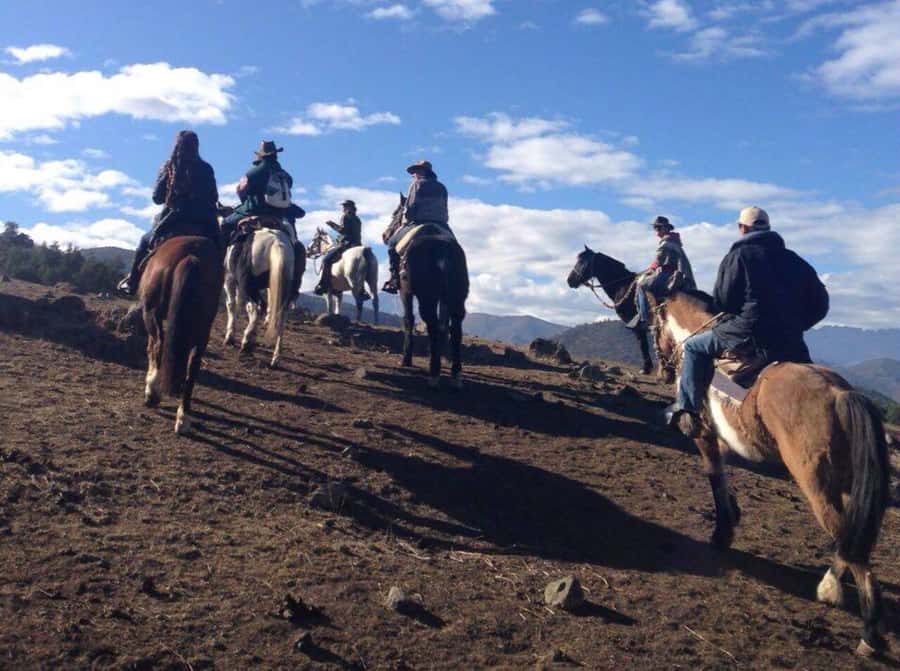 Santiago: Private Andes Foothills Horseback Riding. Half day - What the $250 price really buys you