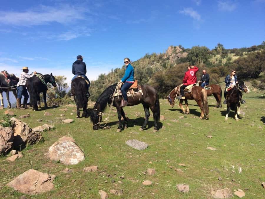 Santiago: Private Andes Foothills Horseback Riding. Half day - The 1.5-hour climb through native forest