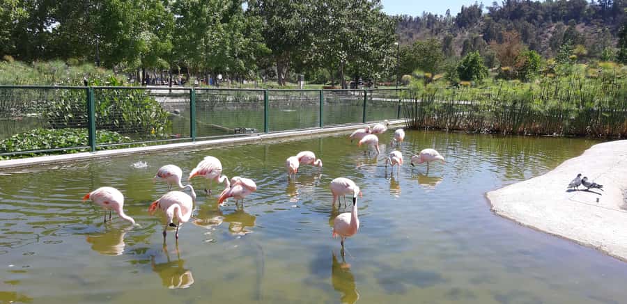 Santiago: Private Half-Day City Tour - Parks, museums, and the city’s public face