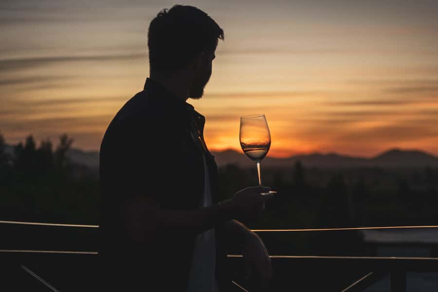 Santiago: Sunset at Vinicola Alyan Family - Sunset, snacks, and an informal dinner