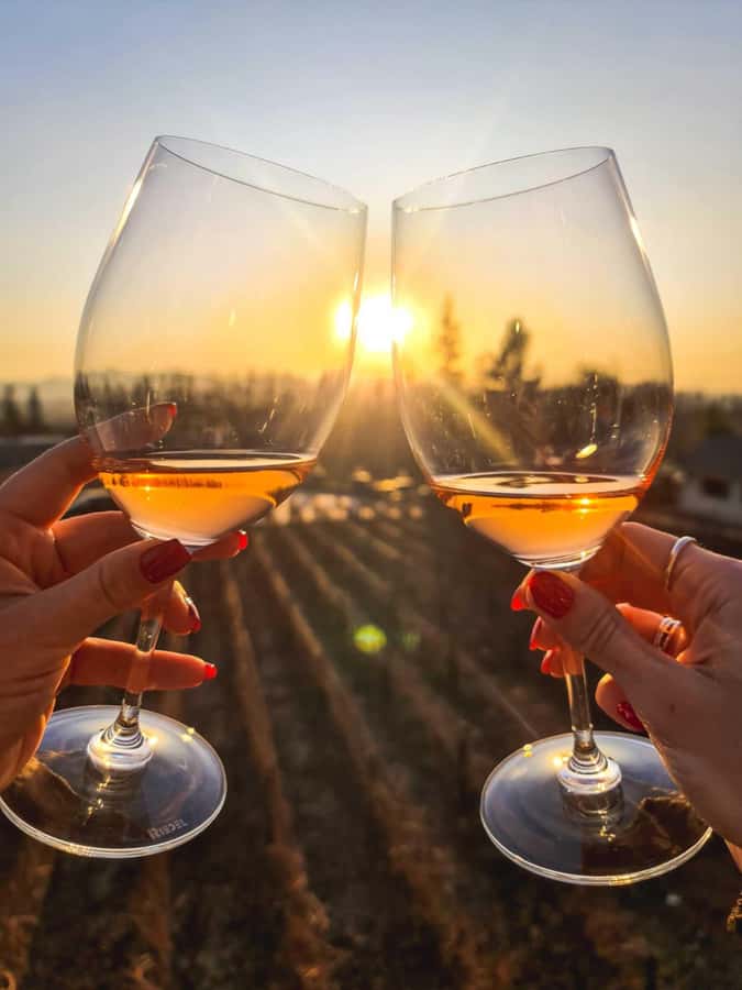 Santiago: Sunset at Vinicola Alyan Family - Booking details that affect your decision