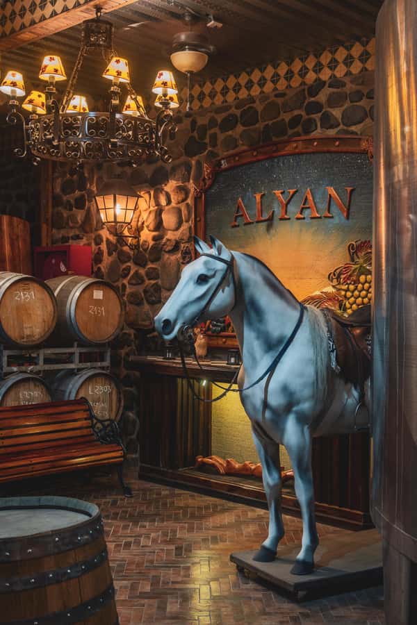 Santiago: Sunset at Vinicola Alyan Family - A family winery with a different feel