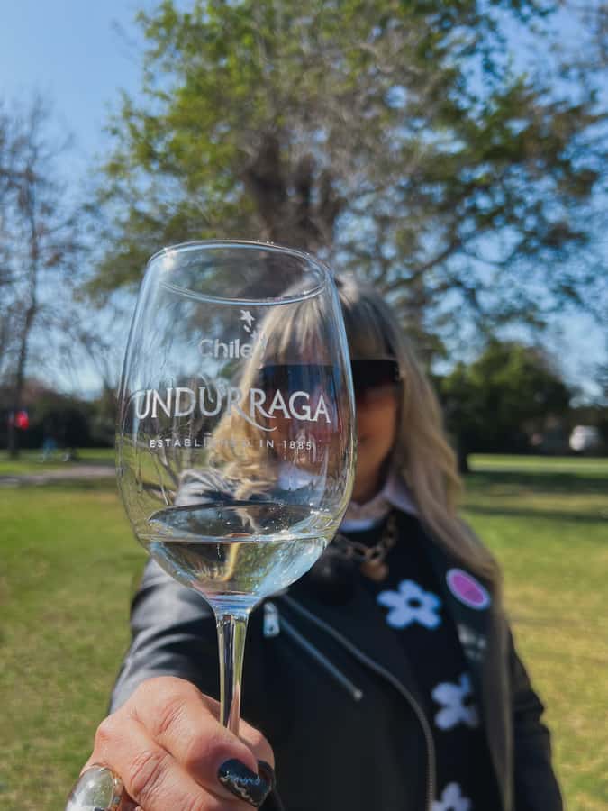 Santiago: Tour to Isla Negra, Algarrobo and Undurraga Wines - A wine country and coast day from Santiago