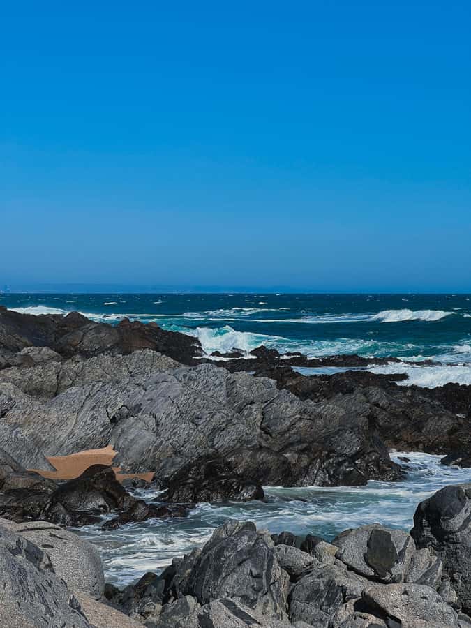 Santiago: Tour to Isla Negra, Algarrobo and Undurraga Wines - Why the driver and guide arrangement matters