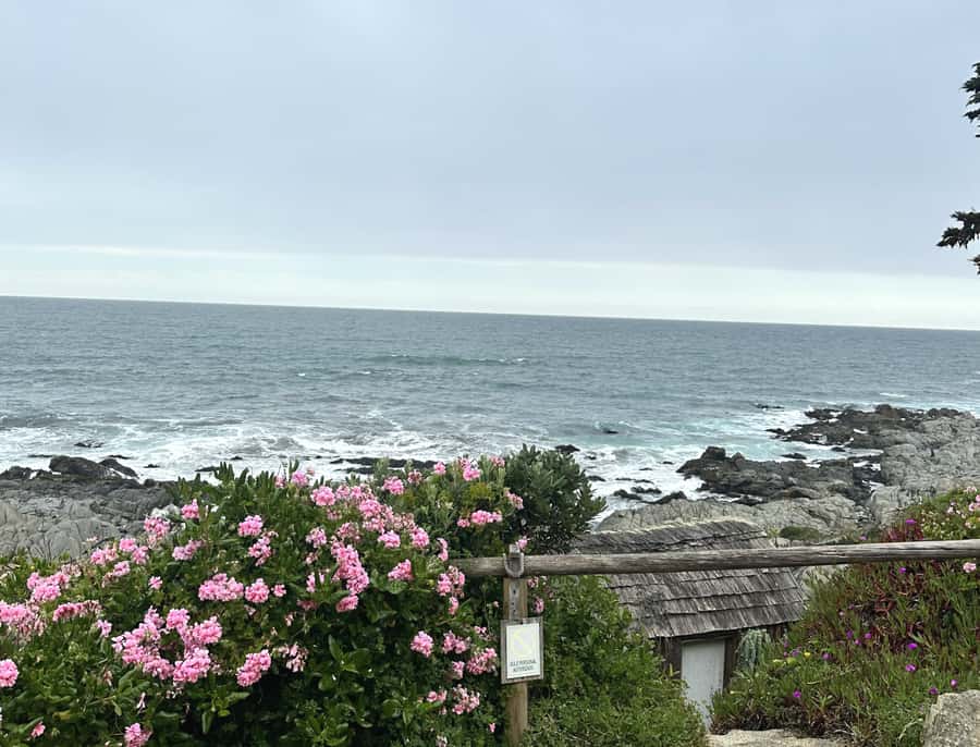 Santiago: Tour to Isla Negra, Algarrobo and Undurraga Wines - What the timing feels like in practice