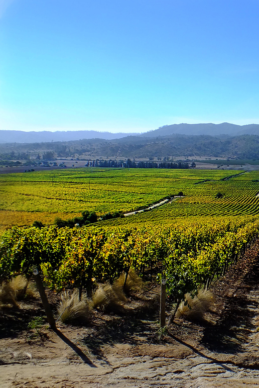 Santiago: Tour to Valparaiso and Casablanca - Practical advice before you go