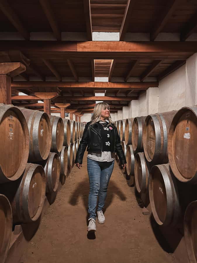 Santiago: Undurraga Winery Tour with Entry and Wine Tasting - Why Undurraga Works as a First Winery Visit