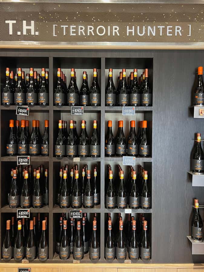 Santiago: Undurraga Winery Tour with Entry and Wine Tasting - Who Should Book Undurraga Winery?