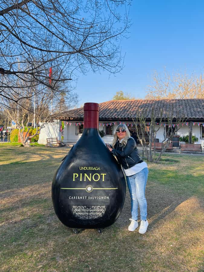 Santiago: Undurraga Winery Tour with Entry and Wine Tasting - From Production Areas to the Cellars