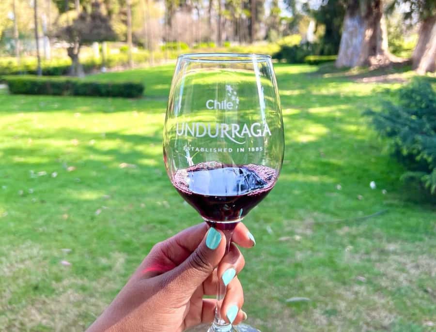 Santiago: Undurraga Winery Tour with Entry and Wine Tasting - Four Wines in One Guided Tasting