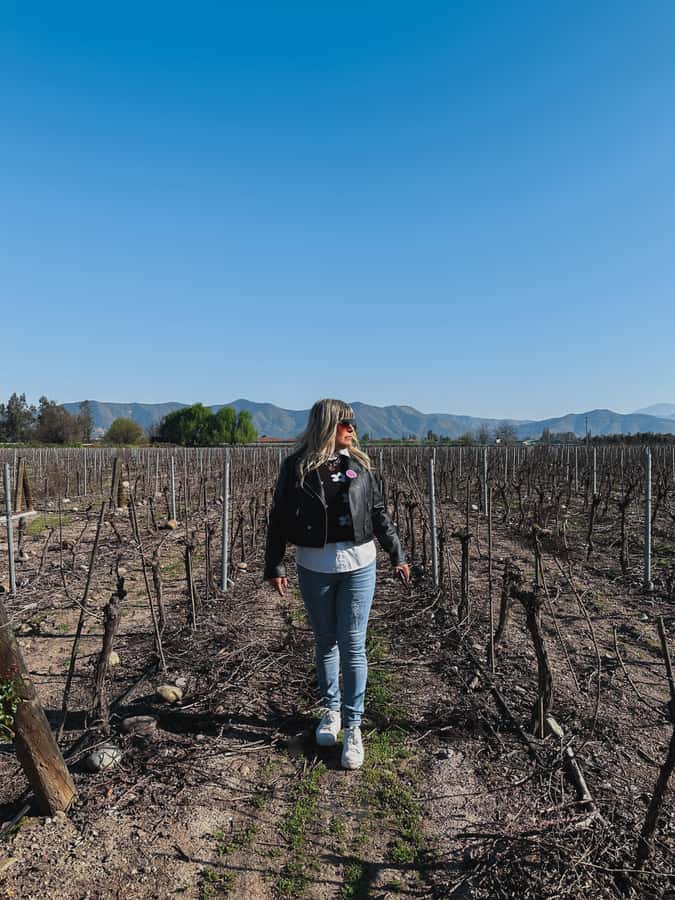 Santiago: Undurraga Winery Tour with Entry and Wine Tasting - Languages, Timing, and Accessibility