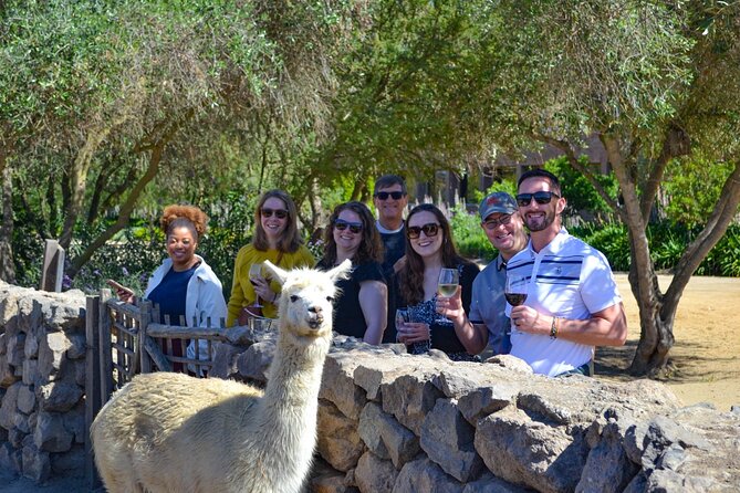Santiago: Viña del Mar, Valparaiso & Casablanca Valley Tour - Guides make the difference