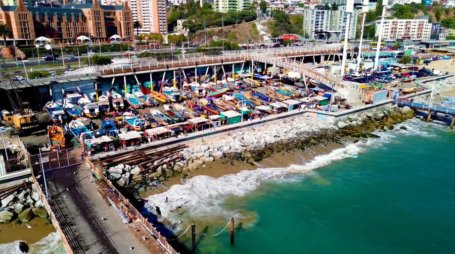 Santiago: Viña del Mar, Valparaiso, with Wine Tasting - Lunch is flexible, but not included