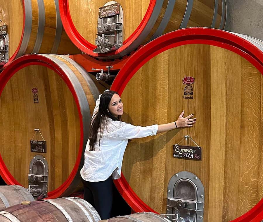 Santiago: World-class Wines, Visit to 4 Vineyards and Tanino - Key points to know before you book