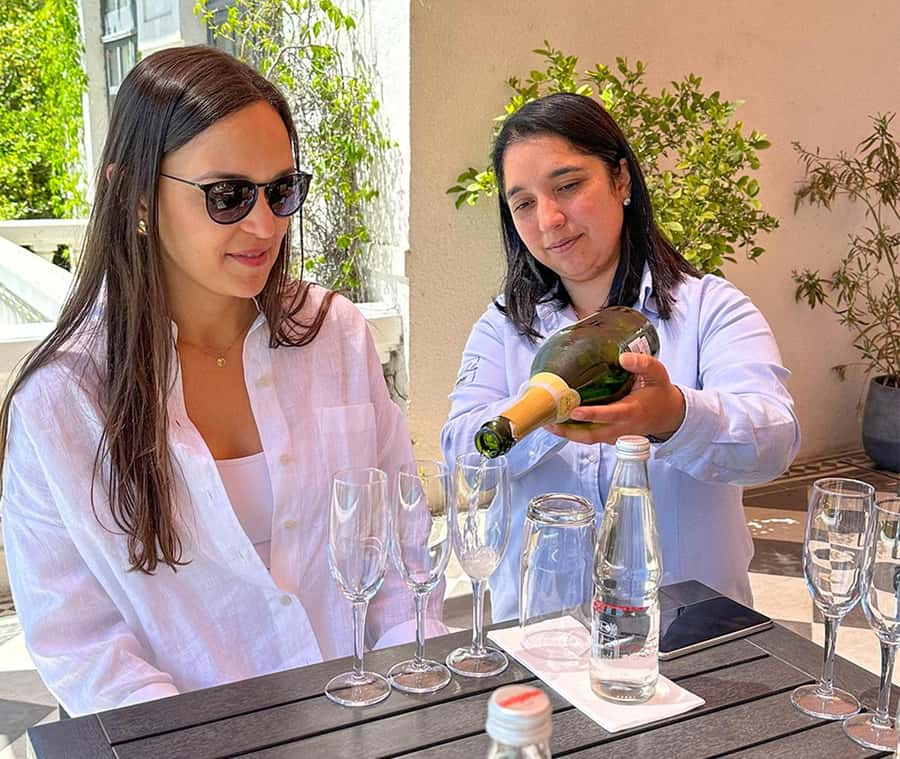 Santiago: World-class Wines, Visit to 4 Vineyards and Tanino - Who should book this Casablanca Valley day trip?
