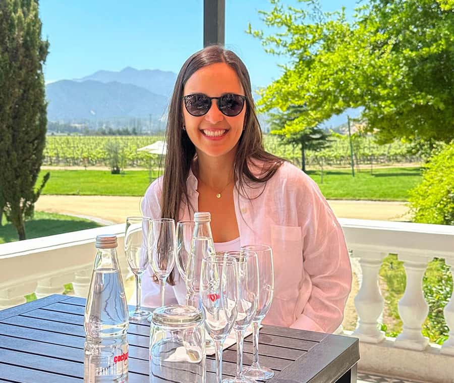 Santiago: World-class Wines, Visit to 4 Vineyards and Tanino - From Santiago to the Casablanca Valley