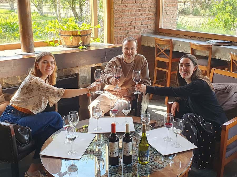 Santiago: World-class Wines, Visit to 4 Vineyards and Tanino - Viñamar, where sparkling wine gets its turn