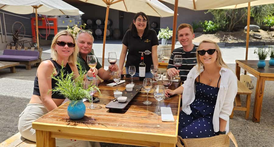 Santiago: World-class Wines, Visit to 4 Vineyards and Tanino - The guides shape the whole day