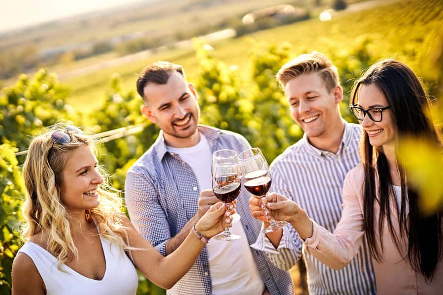 Santiago: World-class Wines, Visit to 4 Vineyards and Tanino - Emiliana, organic wine with a clear purpose