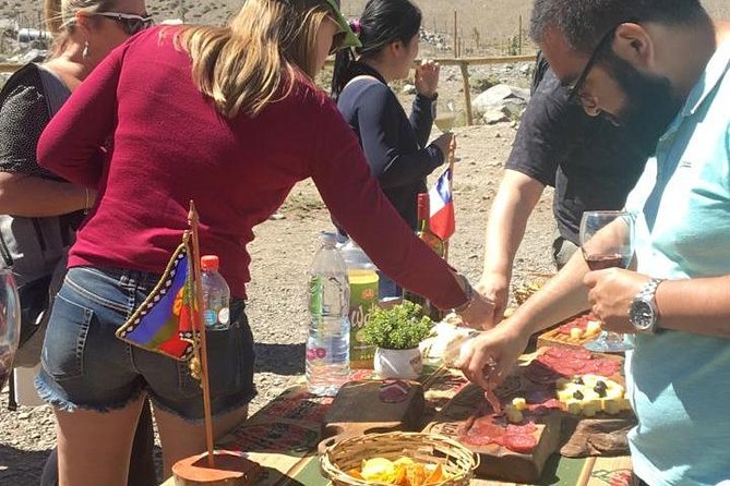 Small-Group Cajón del Maipo Full-Day Tour and Picnic - The early pickup and minivan ride