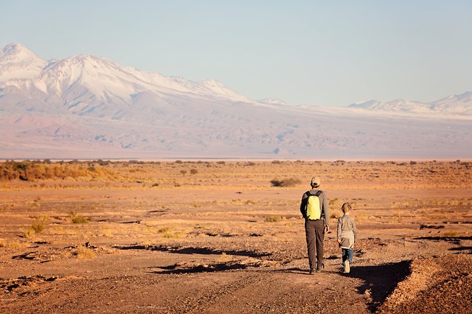 Small-Group Tour to Moon Valley from San Pedro de Atacama - Walking the Great Dune