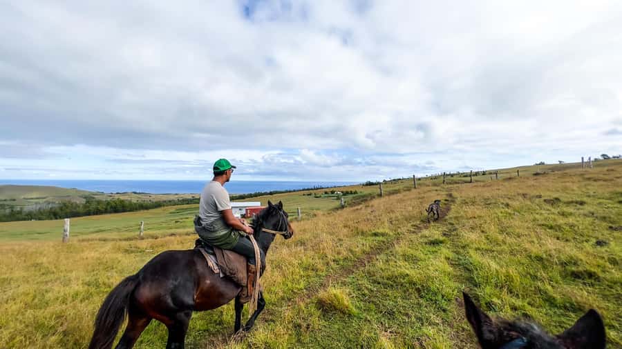 Terevaka Horse Excursion: The highest point and 360° view. - Why Terevaka is a fine place to ride
