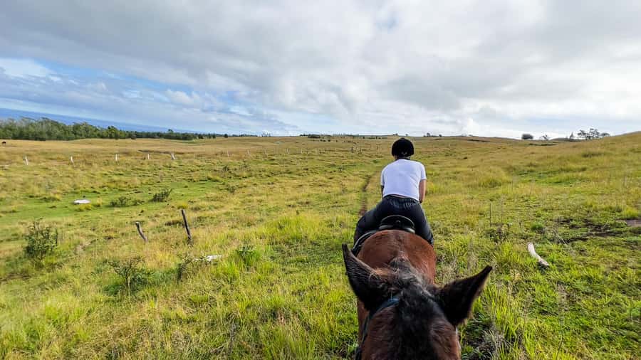 Terevaka Horse Excursion: The highest point and 360° view. - Riding toward the highest point of Rapa Nui