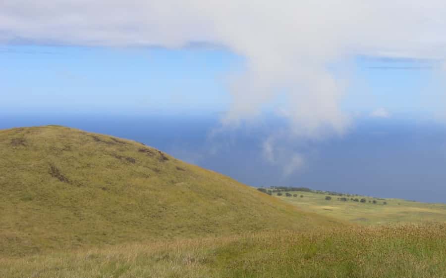 Terevaka Horse Excursion: The highest point and 360° view. - Arriving at Terevaka’s 360-degree view