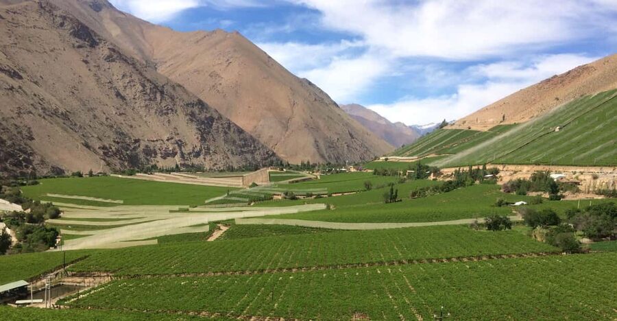 The Magnificient Elqui Valley Grand Tour - Why the Elqui Valley makes a good day trip