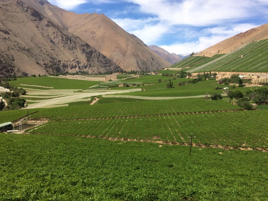 The Magnificient Elqui Valley Grand Tour - Paihuano and Vicuña: first taste of Elqui culture