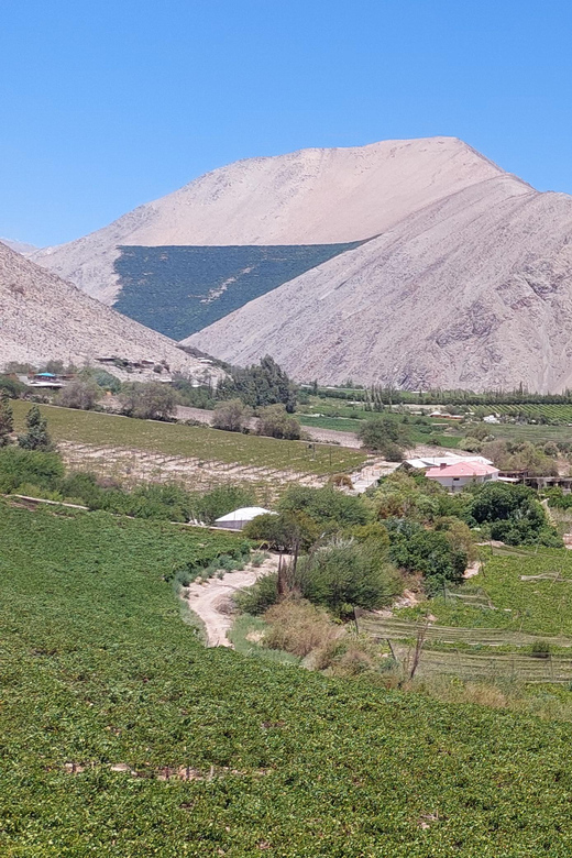 The Magnificient Elqui Valley Grand Tour - Capel pisco, papayas, and the old road through El Molle