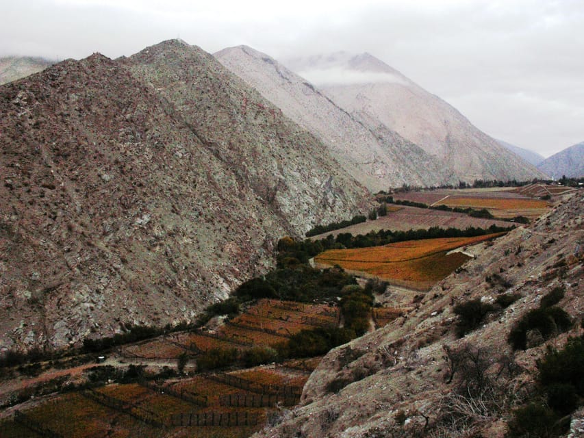 The Magnificient Elqui Valley Grand Tour - El Tambo and the solar restaurant