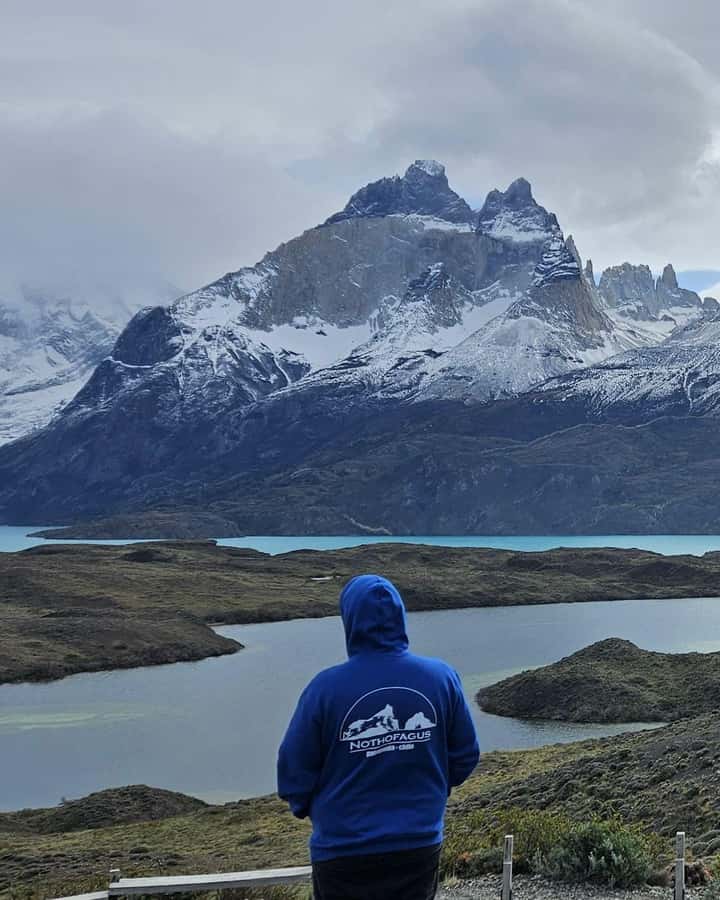 Torres del Paine: Full Day Excursion Torres del Paine + Milodon Cave. - Why this day trip works for a first visit