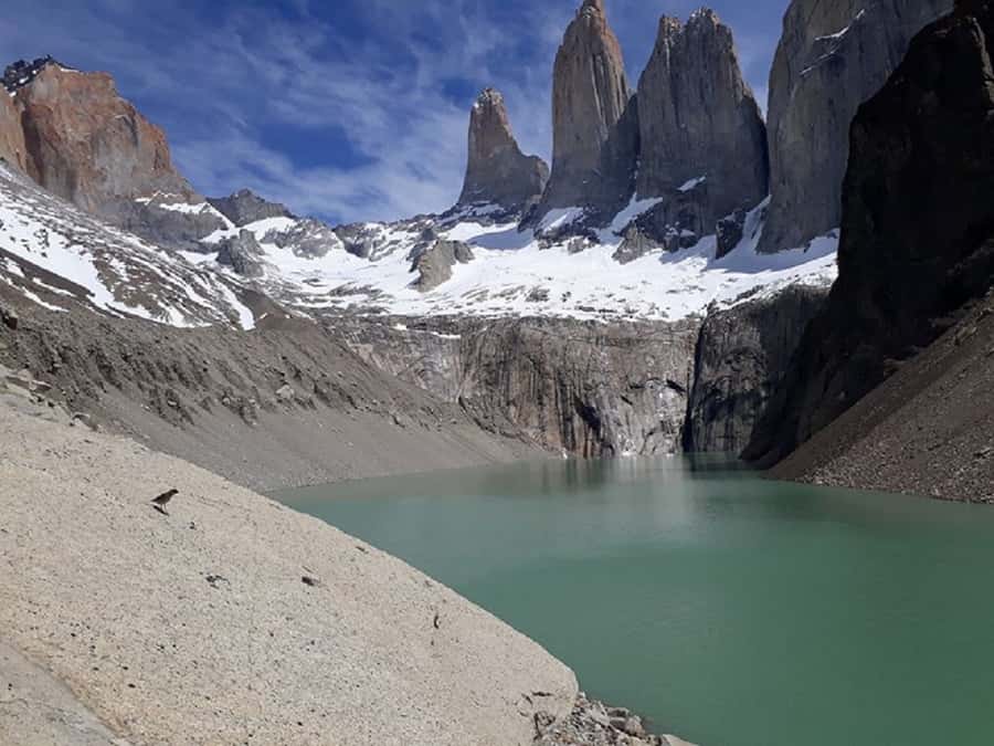 Torres del Paine: Full-Day Trekking Excursion - A hard climb to one of Patagonia’s great viewpoints