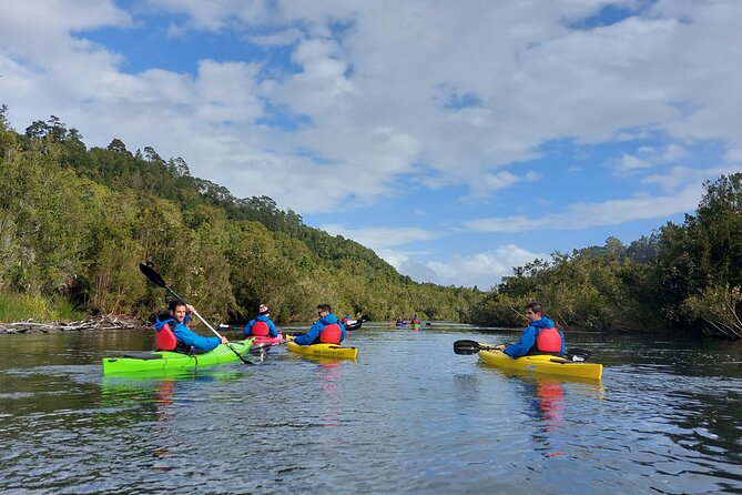 Tour Guiado en Kayak por Rio Maullin / Medío dia en Pto. Varas - Returning by transfer to pizza and craft beer