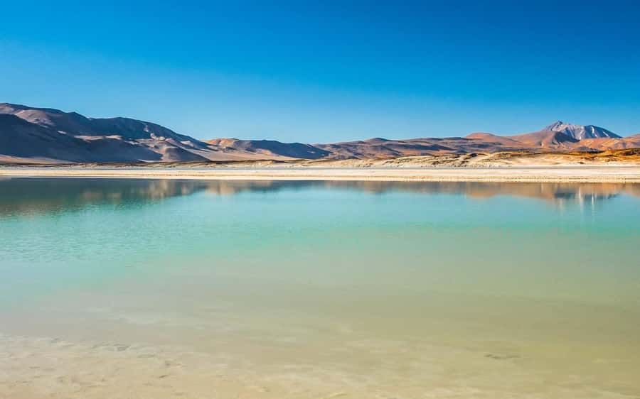 Tour Piedras Rojas + Altiplanic Lagoons + Chaxa Lagoon - A long day across the Atacama highlands