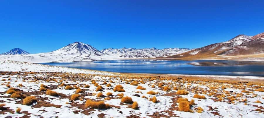 Triple tour: Red stones, highland lagoons and Chaxa Lagoon - Why this day works so well in Atacama