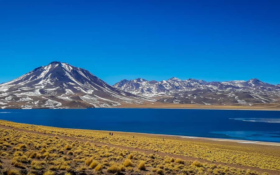 Triple tour: Red stones, highland lagoons and Chaxa Lagoon - Piedras Rojas and the red volcanic country