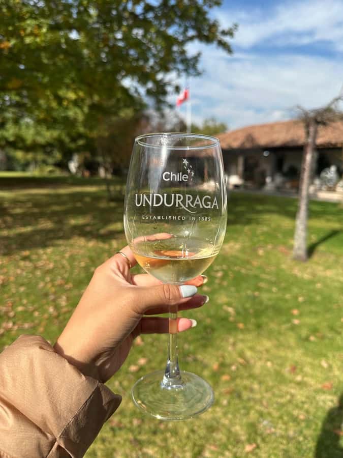 Undurraga + Isla Negra + San Afonso del Mar ----- Full day - Undurraga Winery brings the strongest value