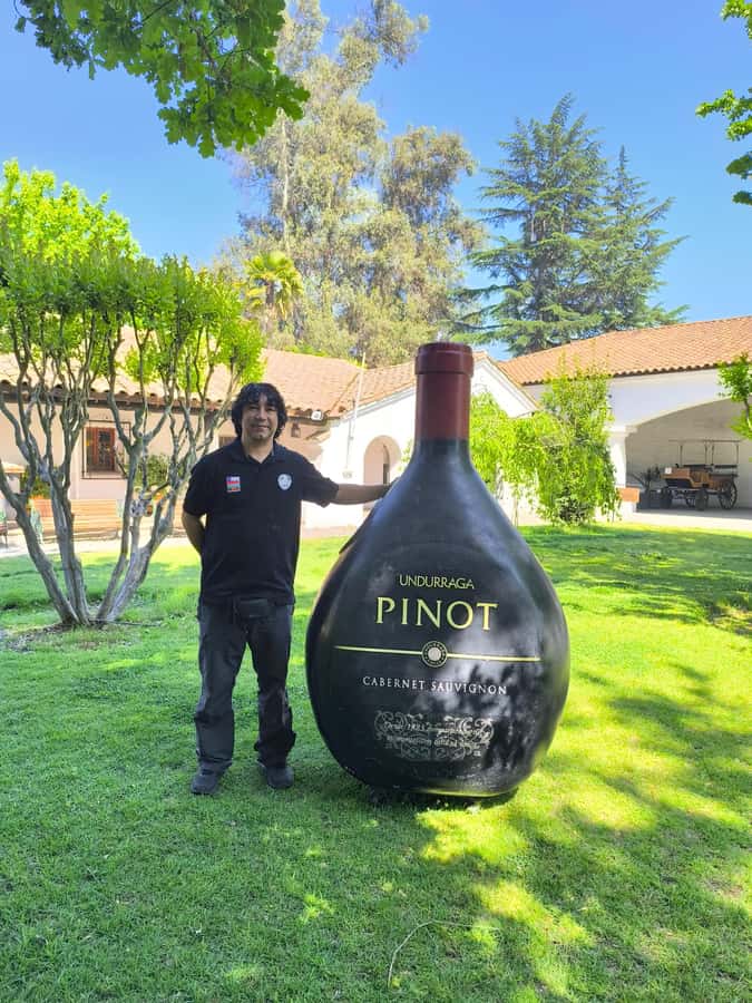 UNDURRAGA VINEYARD - Arriving at Undurraga Vineyard