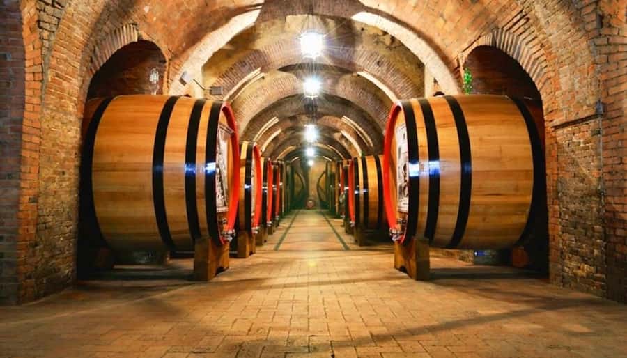 Undurraga Wine tour - Why this half-day wine trip works well