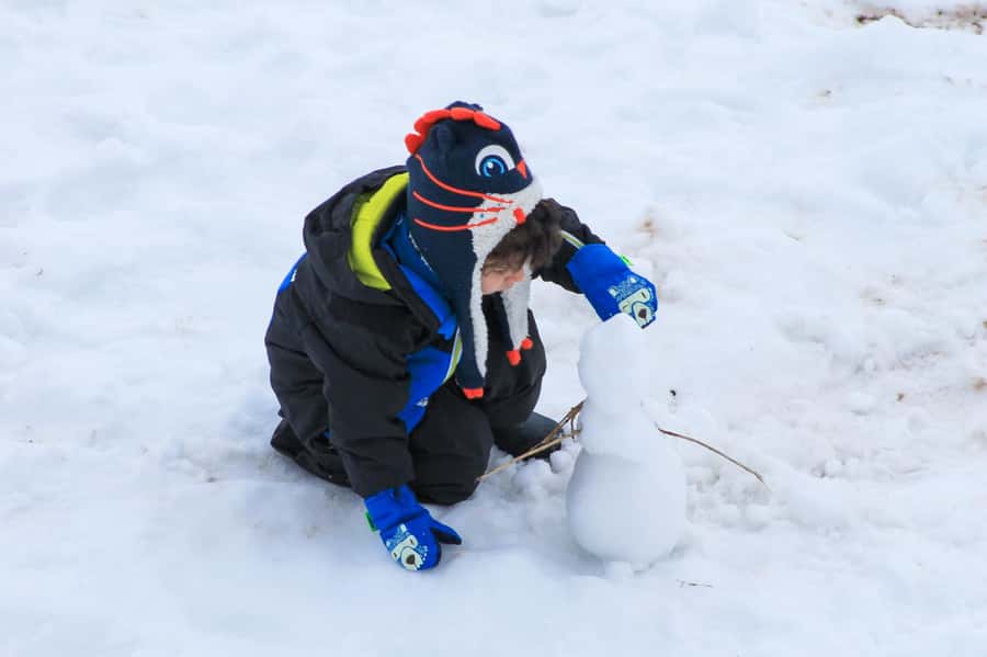 Valle Nevado Tour - The rental stop is useful, but it changes the price