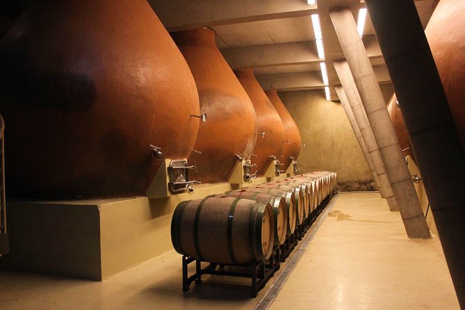 Valparaiso & Casablanca : Wine, Gastronomy and Living Culture - Why this Santiago day trip works