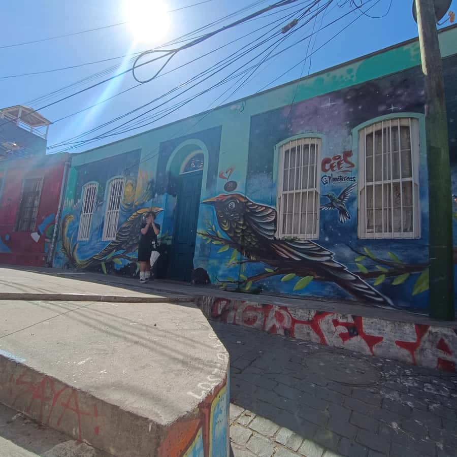 Valparaíso: city tour and ticket to the house of Pablo Neruda - A short guided stop before La Sebastiana