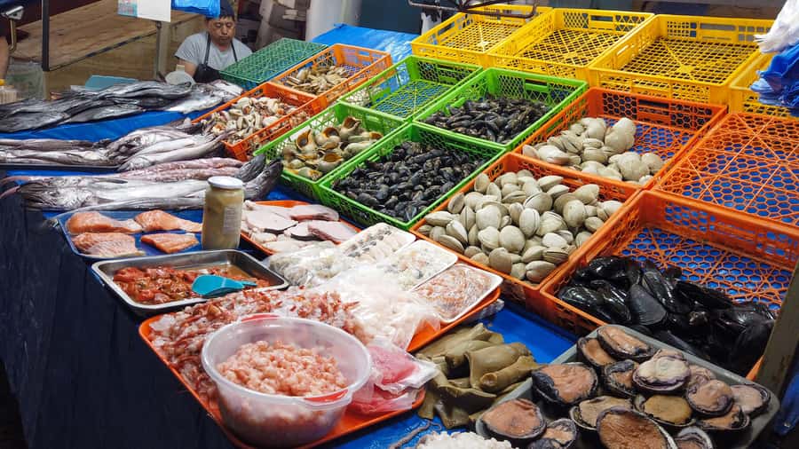 Valparaiso Port and Viña del Mar, Wine tasting in Casablanca - Key points to know before booking